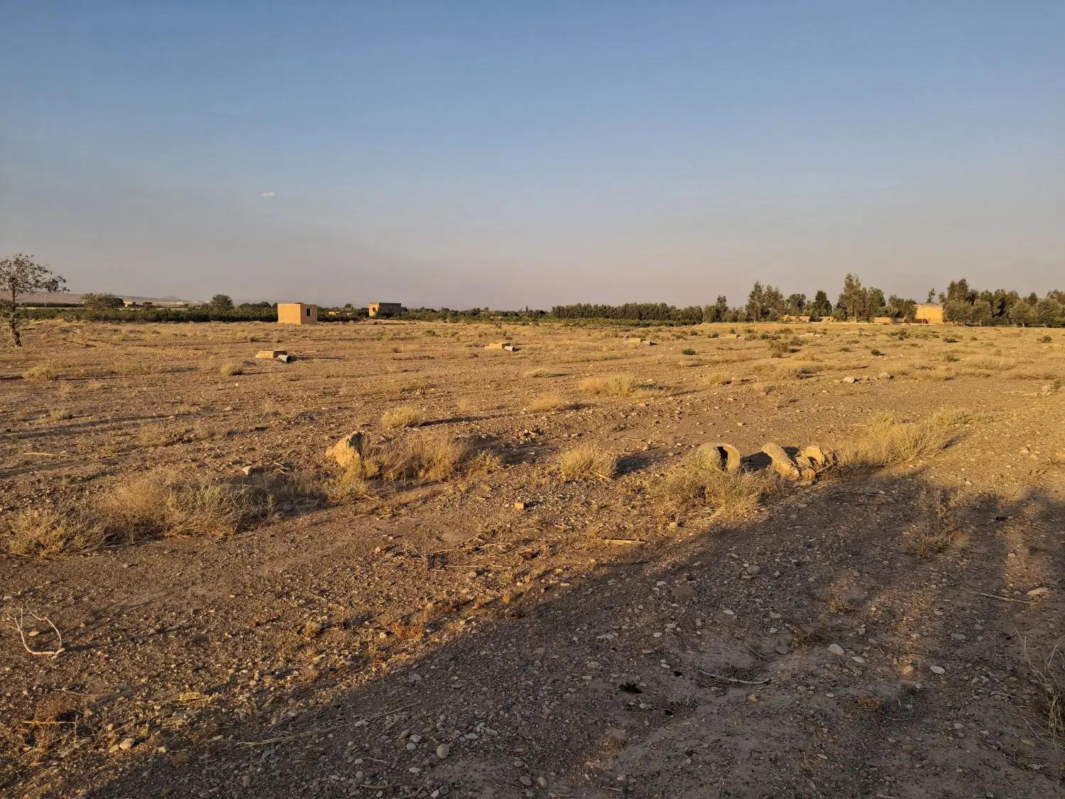 فروش باغ و زمین