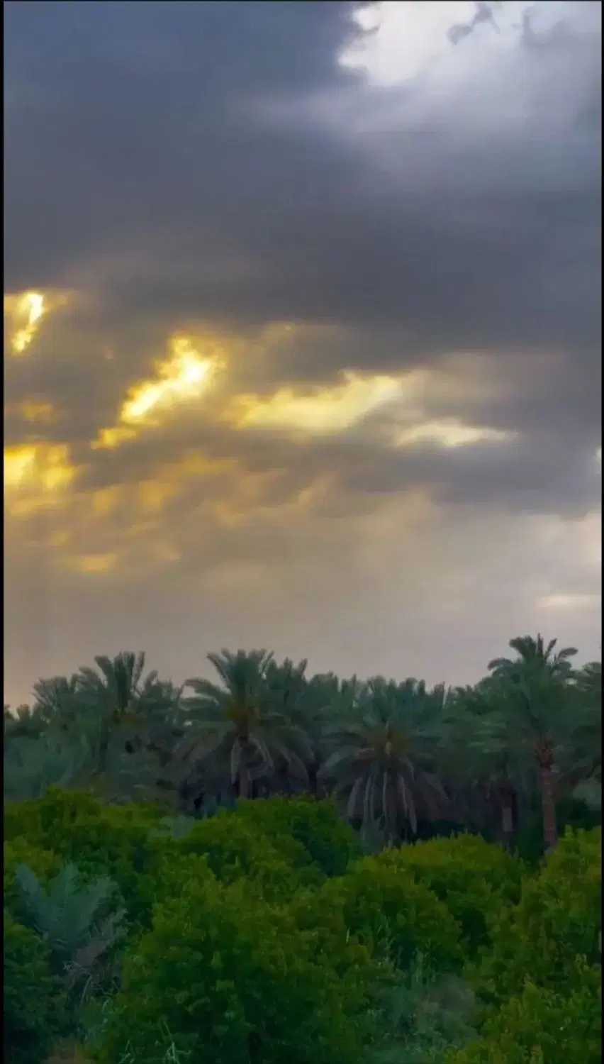 فروش زمین باغی