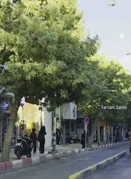 ملک خیابان حسن آباد