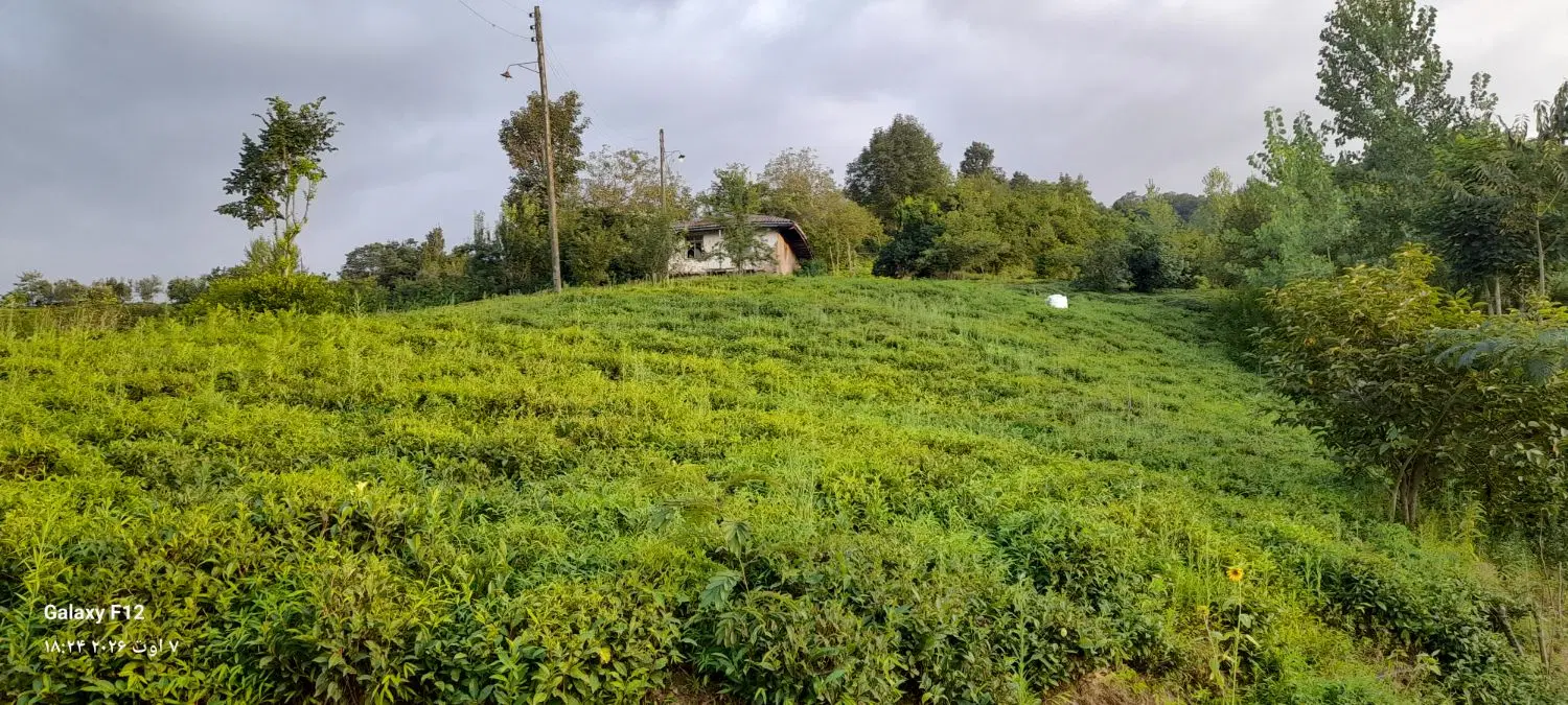 زمین مسکونی و باغ ۳هکتار خانه و سندار