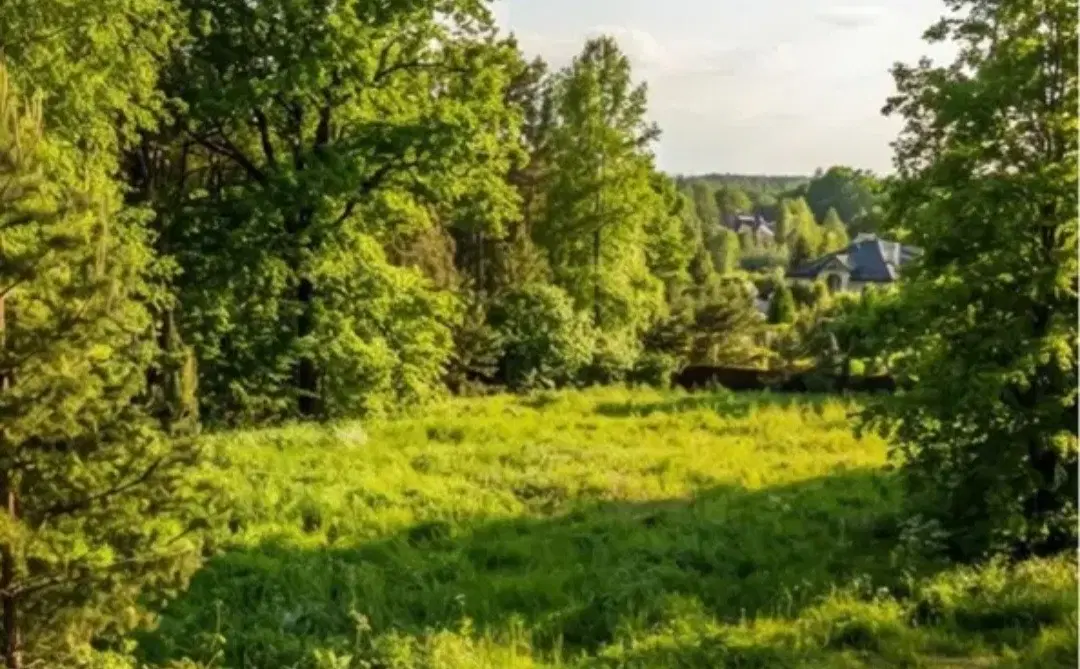 فرصت استثنایی خرید زمین در باغشهر مهستان