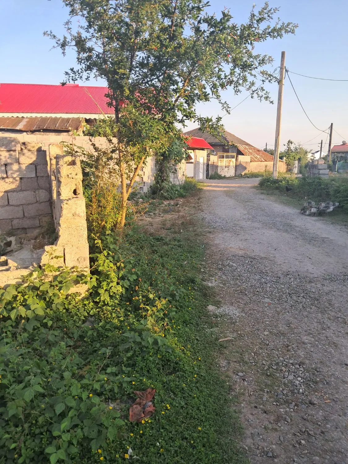 زمین ۲۴۰ متر سه بر مسکونی