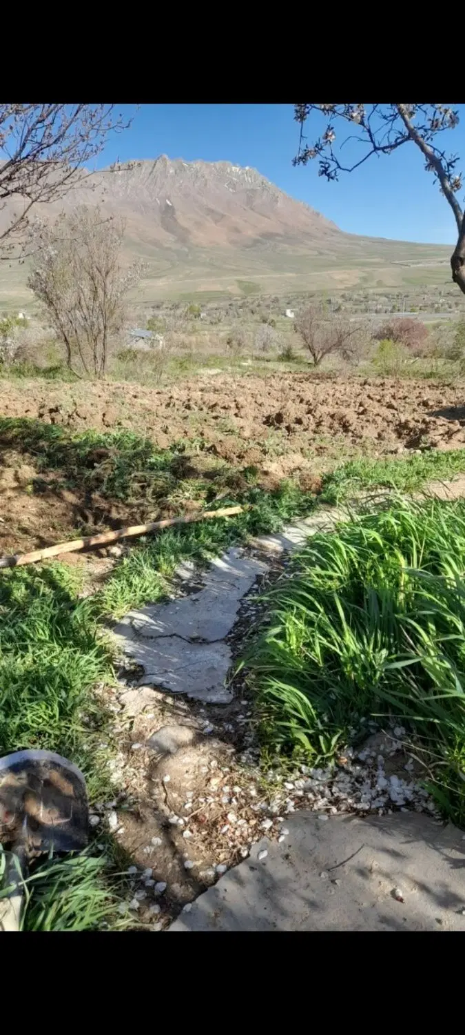 زمین ۷۰۰ متر