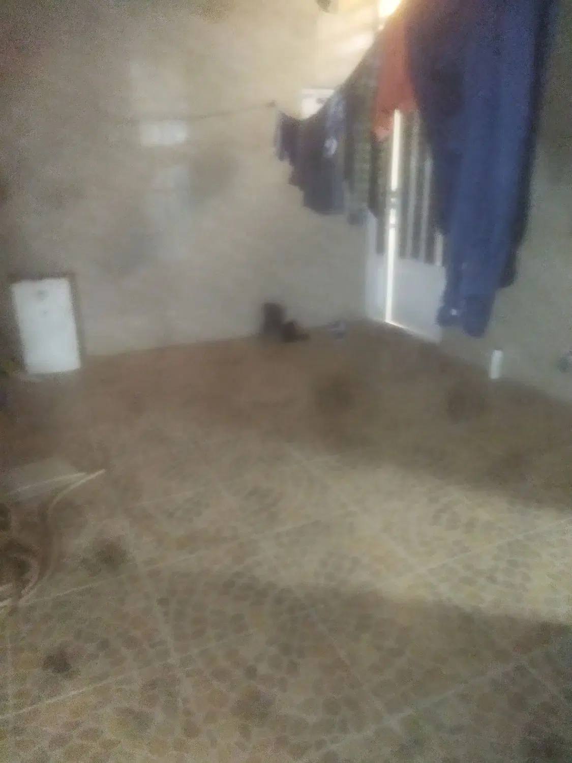 خونه رهن