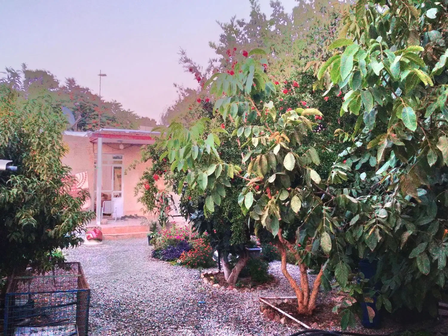 خانه ویلایی ۴۹۰ متری