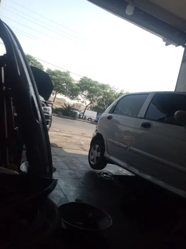باغ گرذو بادام