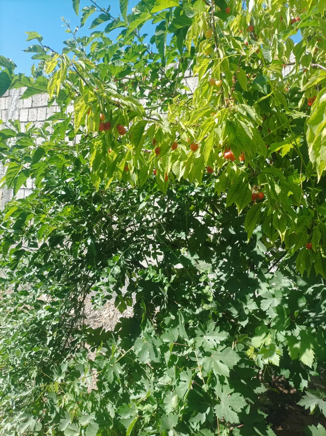 فروش منزل مسکونی