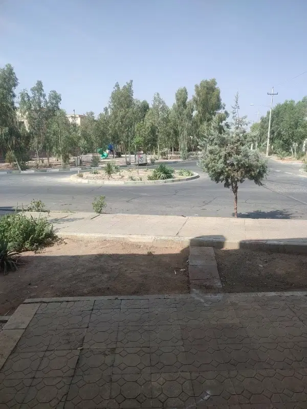 ملک تجاری