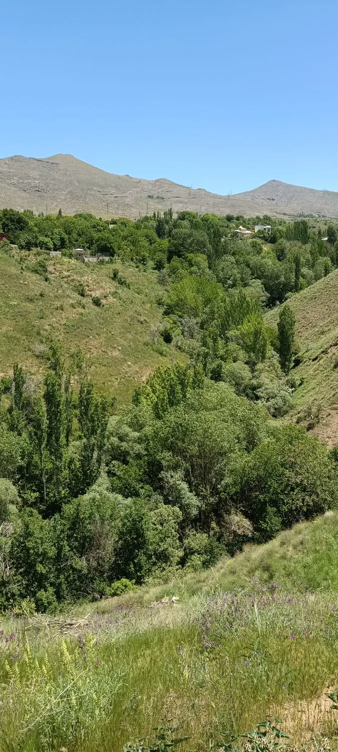 زمین در طالقان ابراهیم آباد کوهپایه توافقی