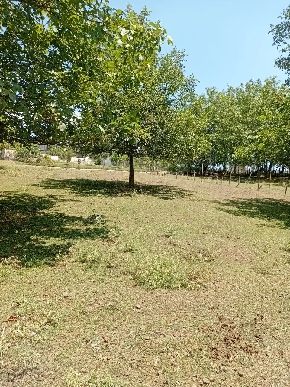 زمین