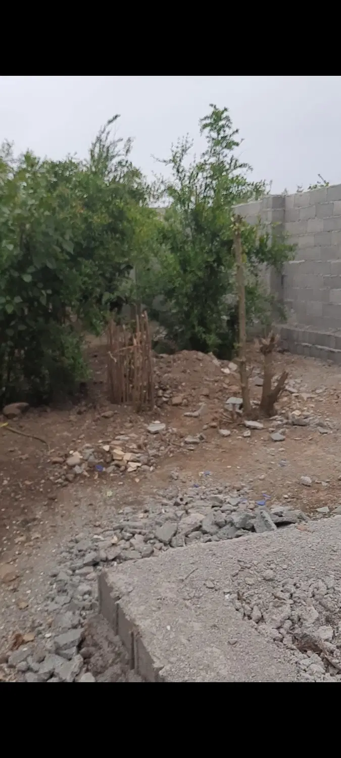 زمین