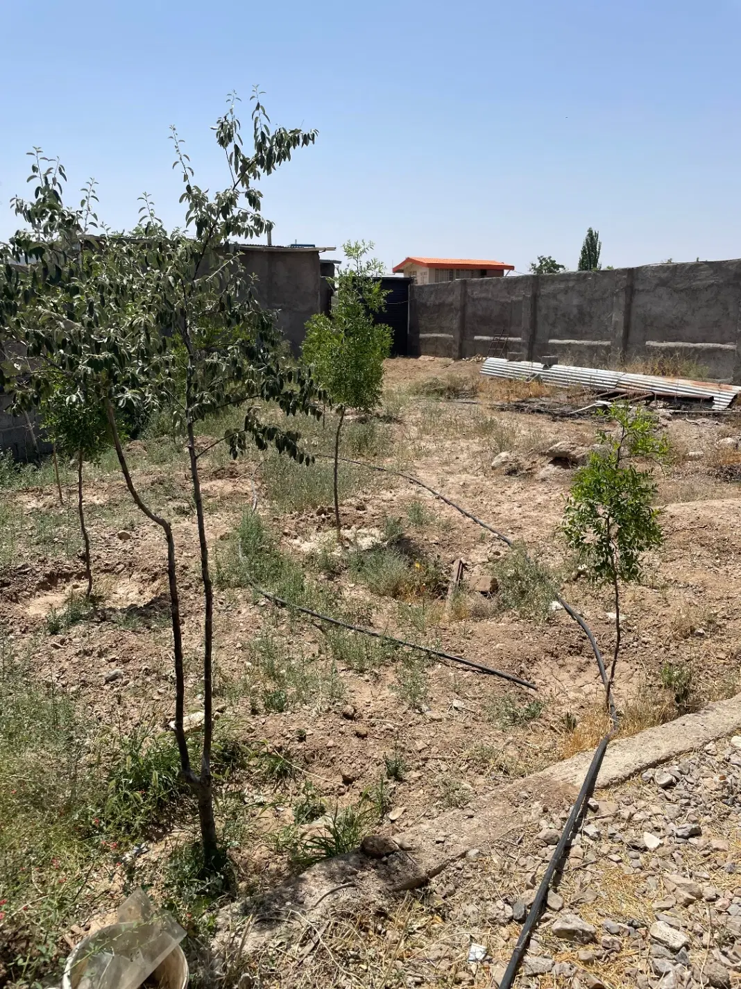 باغ نیاوران  باغستان