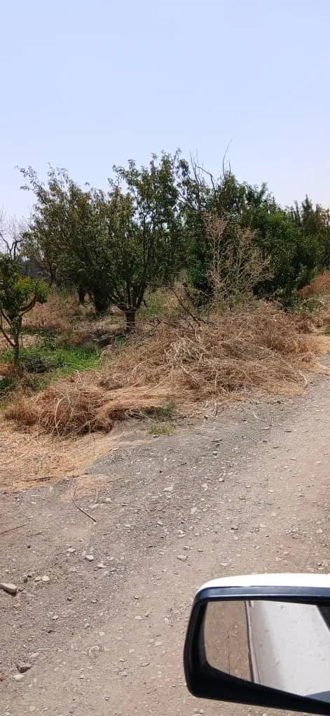 باغچه ۴۲۵متری فوری فروشی