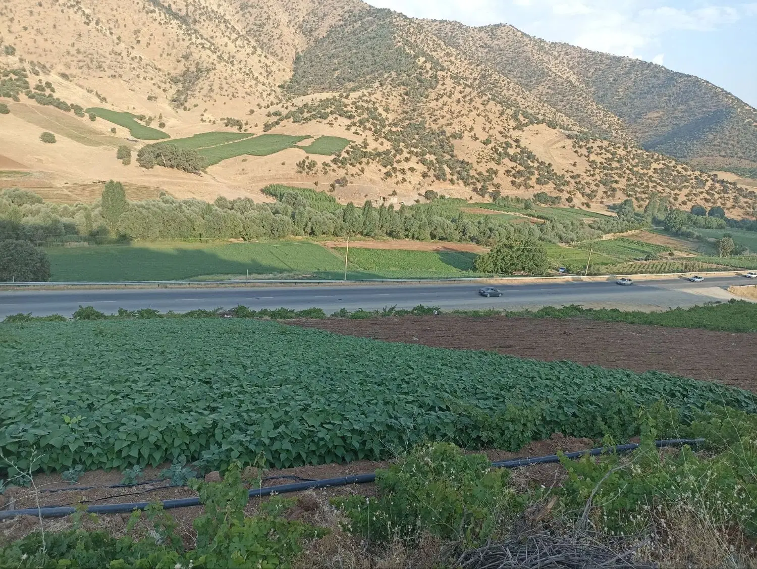 زمین خام فروشی یا معاوضه با خانه