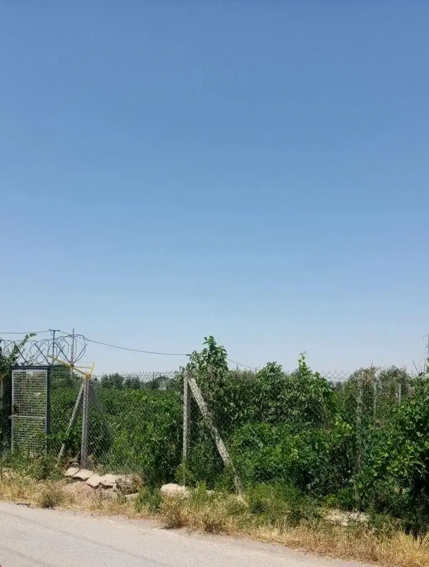 باغ بحر خیابان اصلی