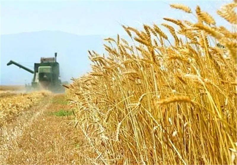 زمین دیم روستای عباس آباد تک برگ سند