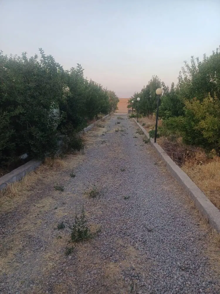 باغ 2000متری در دشت یال ایلخجی