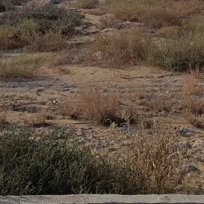 زمین ابشورک سند دار