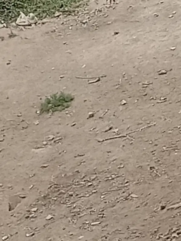 یک قواره زمین