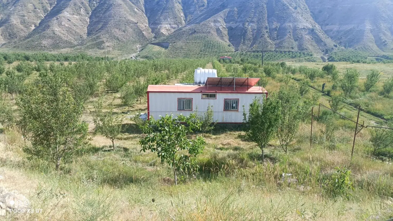 باغ در روستای عزیزآباد شهرستان نظر کهریزی هشترود