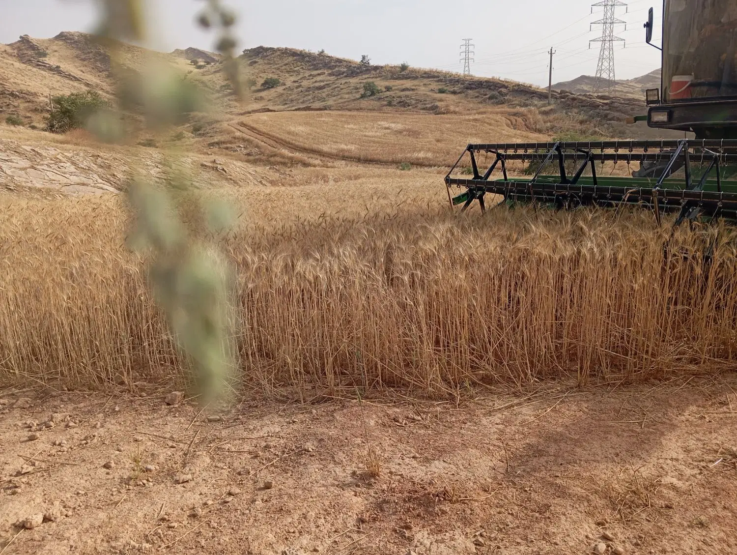 زمین برا فروش دارم