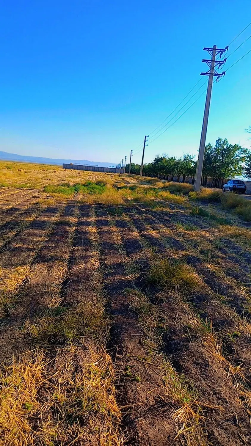 بهترین موقعیت برای سرمایه گذاری