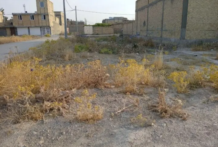زمین جاده کوشک