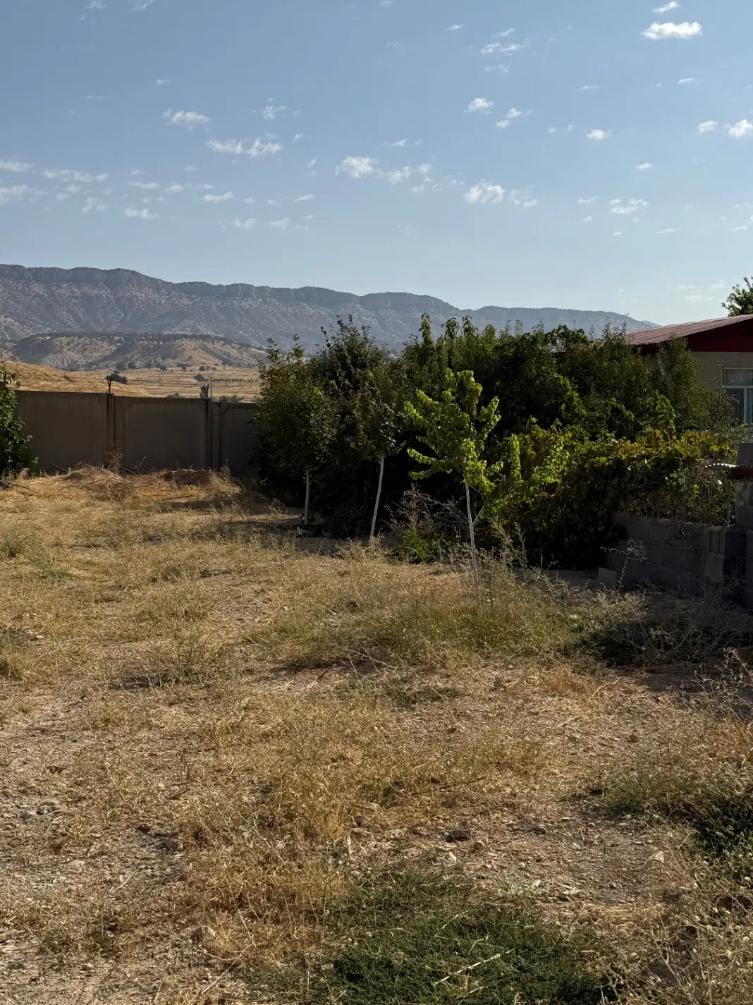 باغ فروشی بر اصلی جاده چشمه کبود