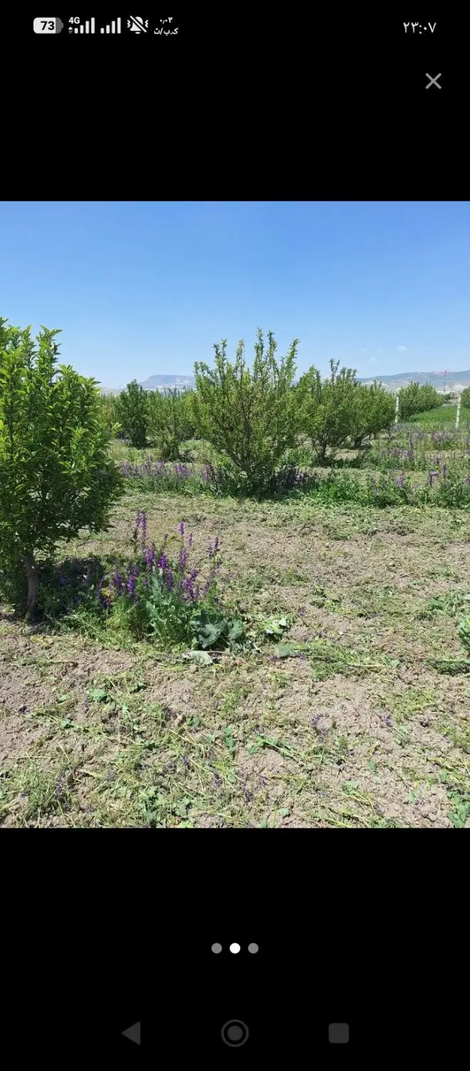 باغچه روستای برگشاد