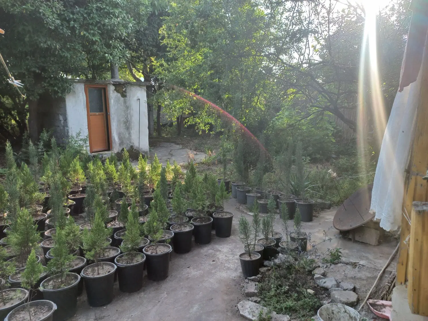 ویلای کلنگی