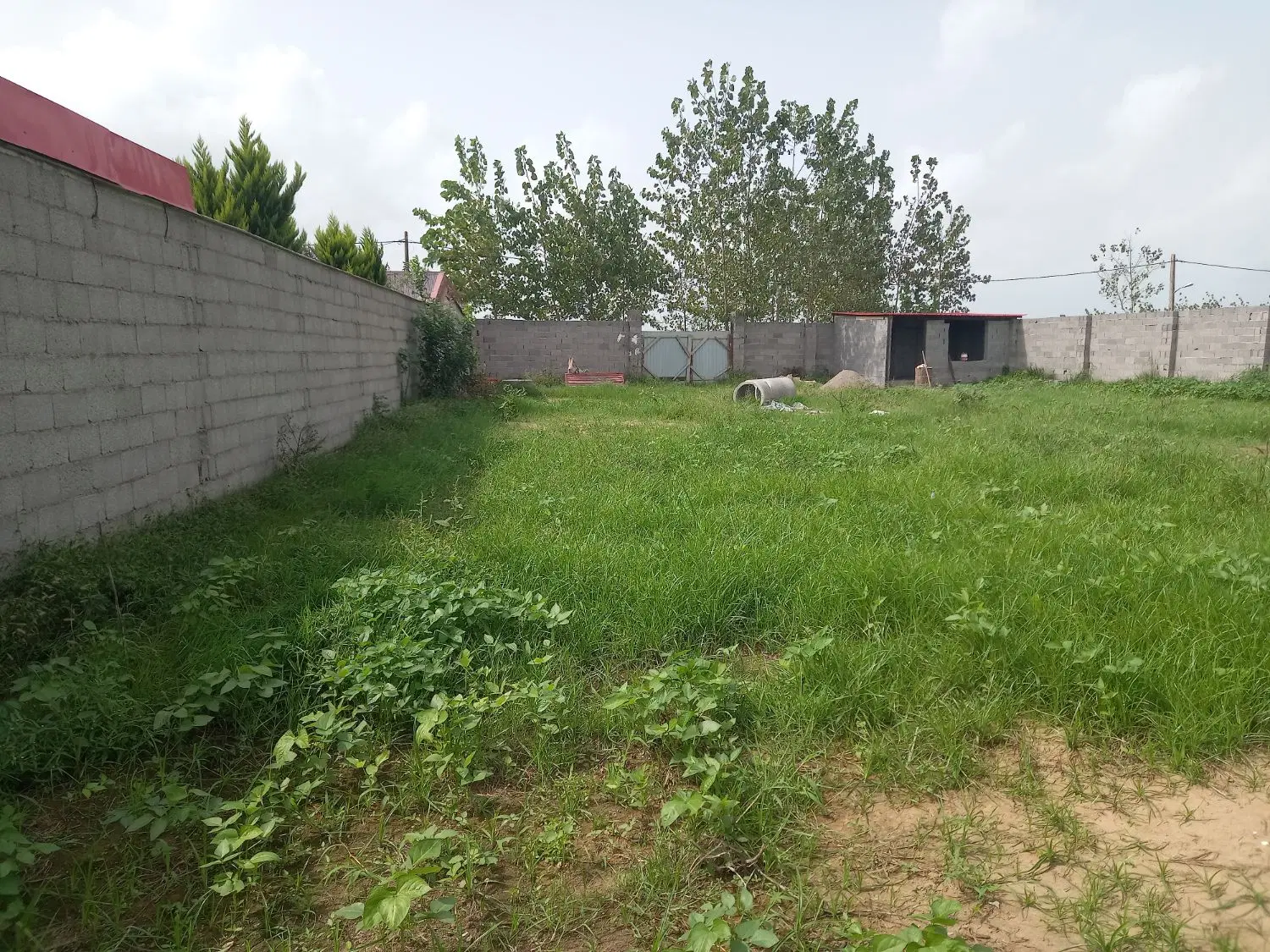 زمین مسکونی سنددار با نامه بنیاد دور دیوار