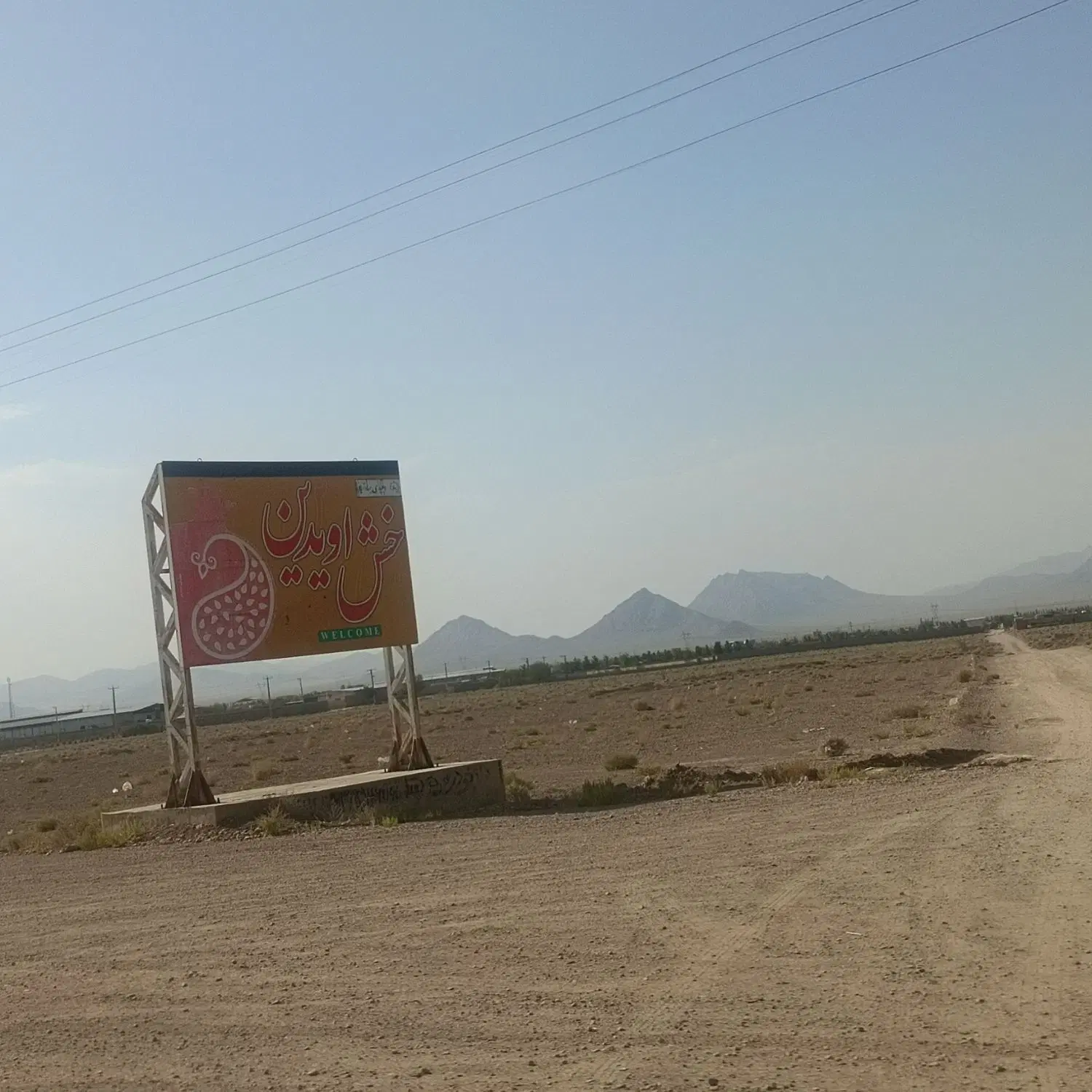 باغ دارای درختان چندساله