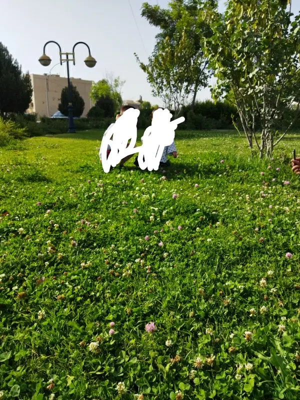 زمین کشاورزی