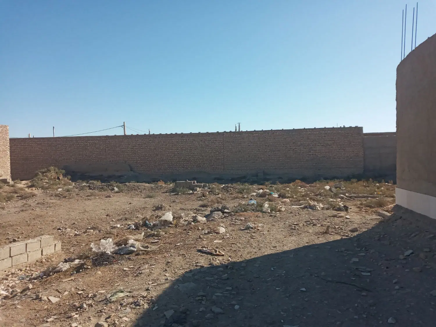 زمین ( سند تک برگ ) ولایت ۱۹
