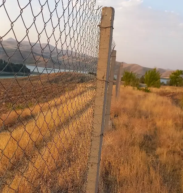 زمین کشاورزی سراب قامیش