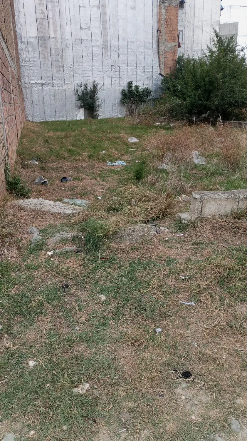 بهترین برای سرمایه گزاری