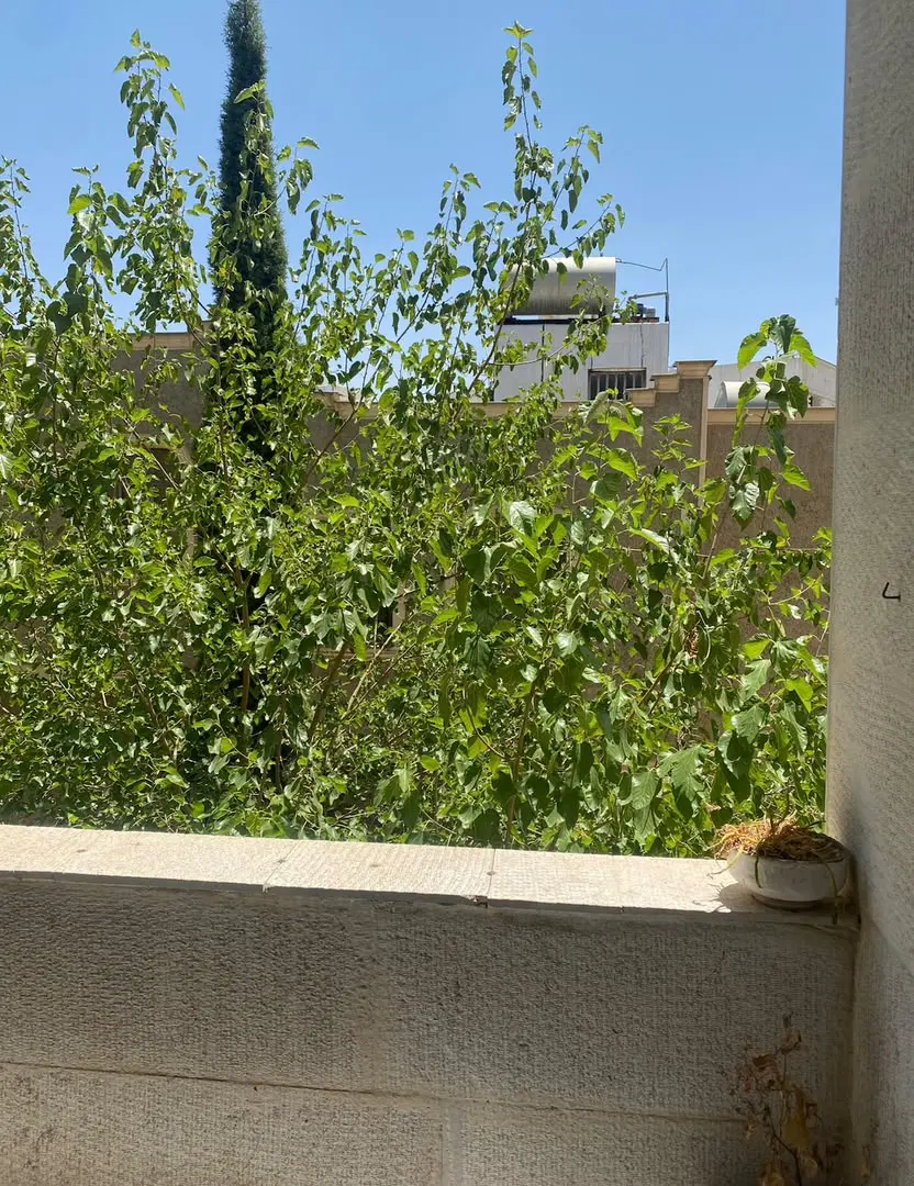 رهن اجاره دو خوابه تاچارا