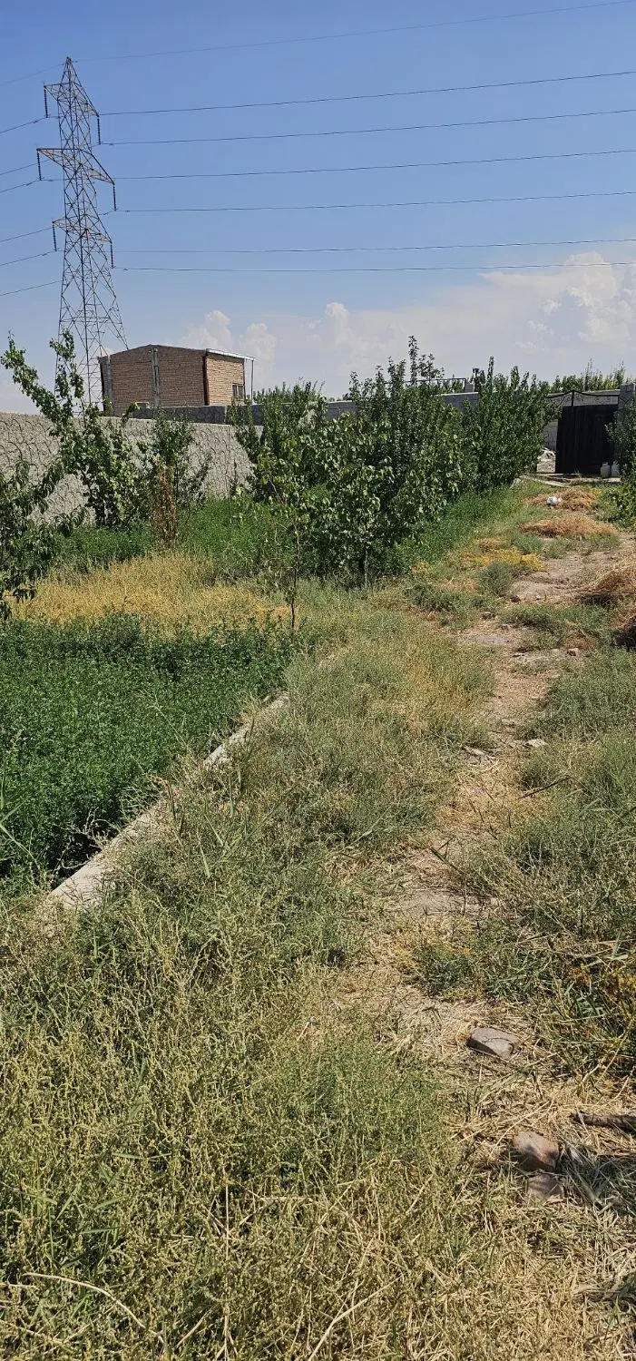 باغ در باغ معروف تبریز