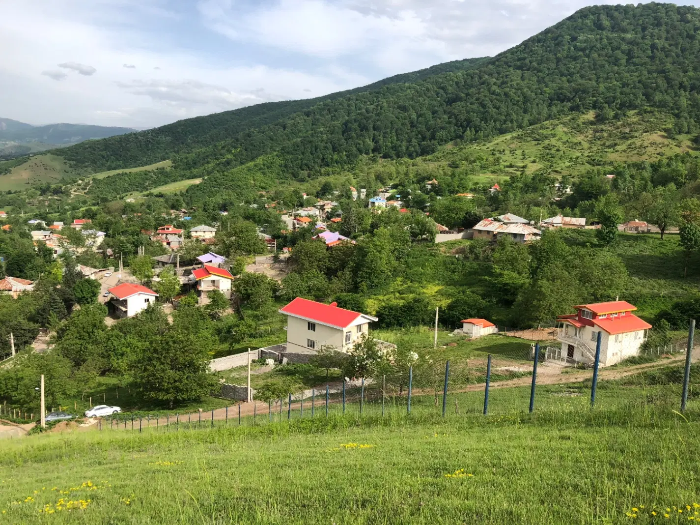 زمین
