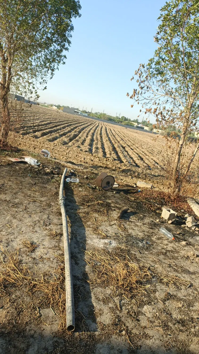 زمین کشاورزی .شیرعلی
