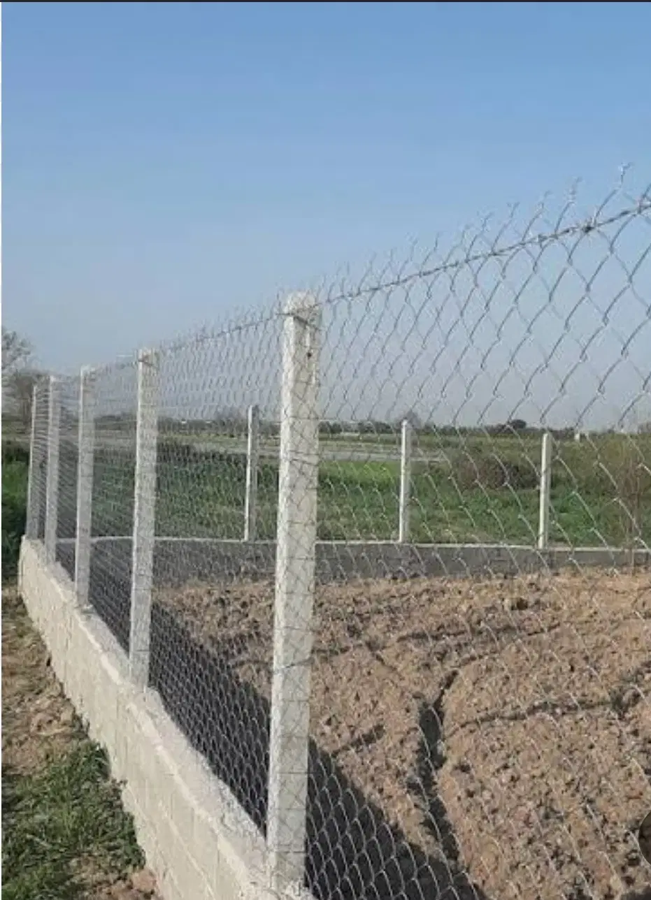 معاوضه زمین کشاورزی ، یا نقد
