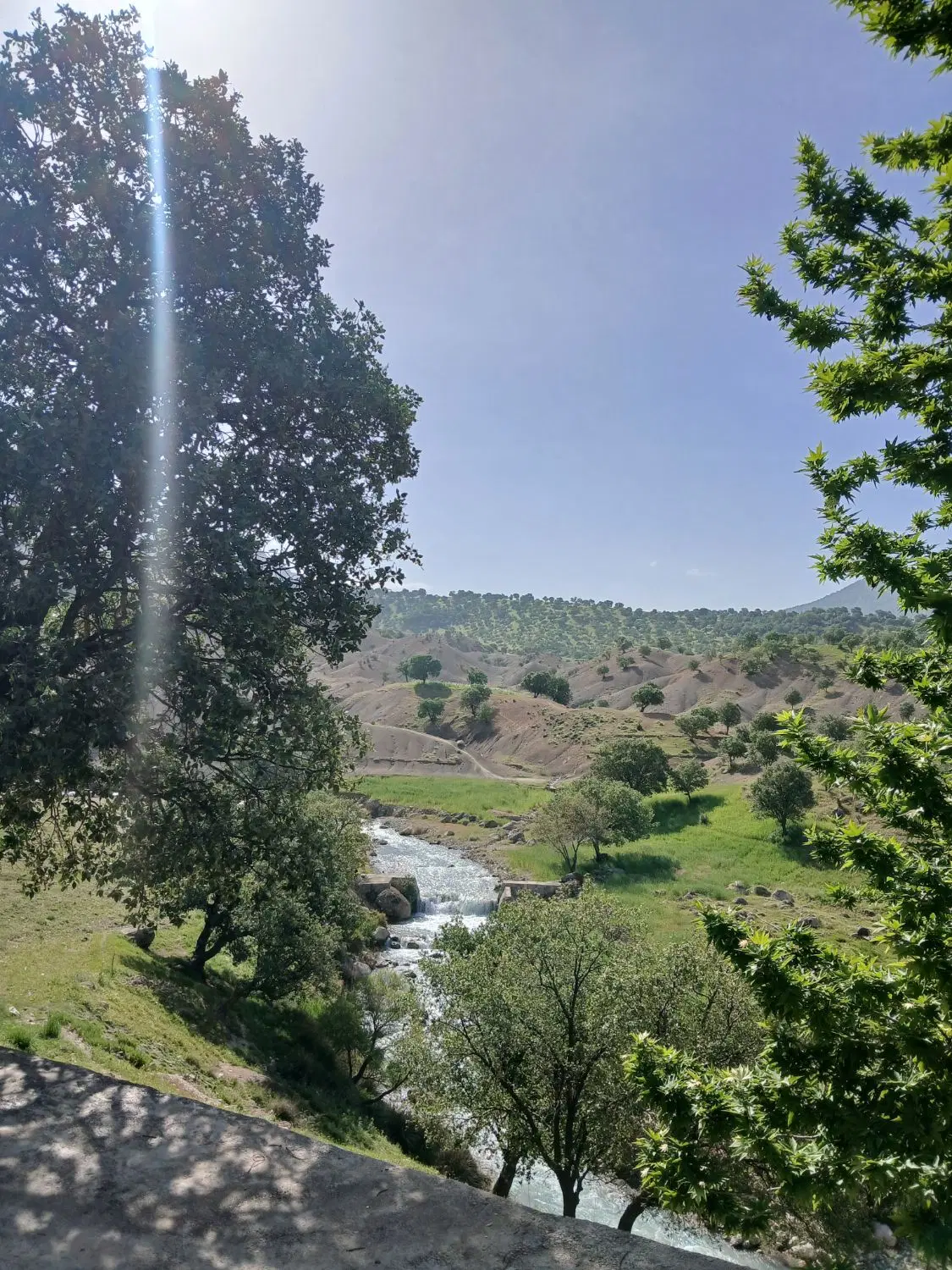 زمین سفیدکوه