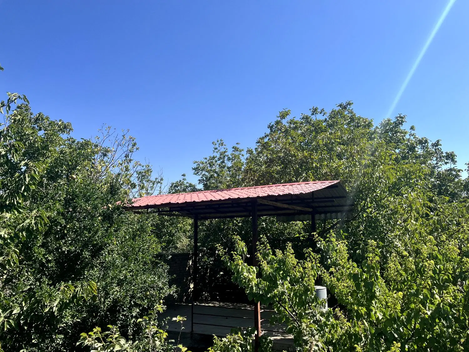 فروش باغ با موقعیت عالی در روستای کراب