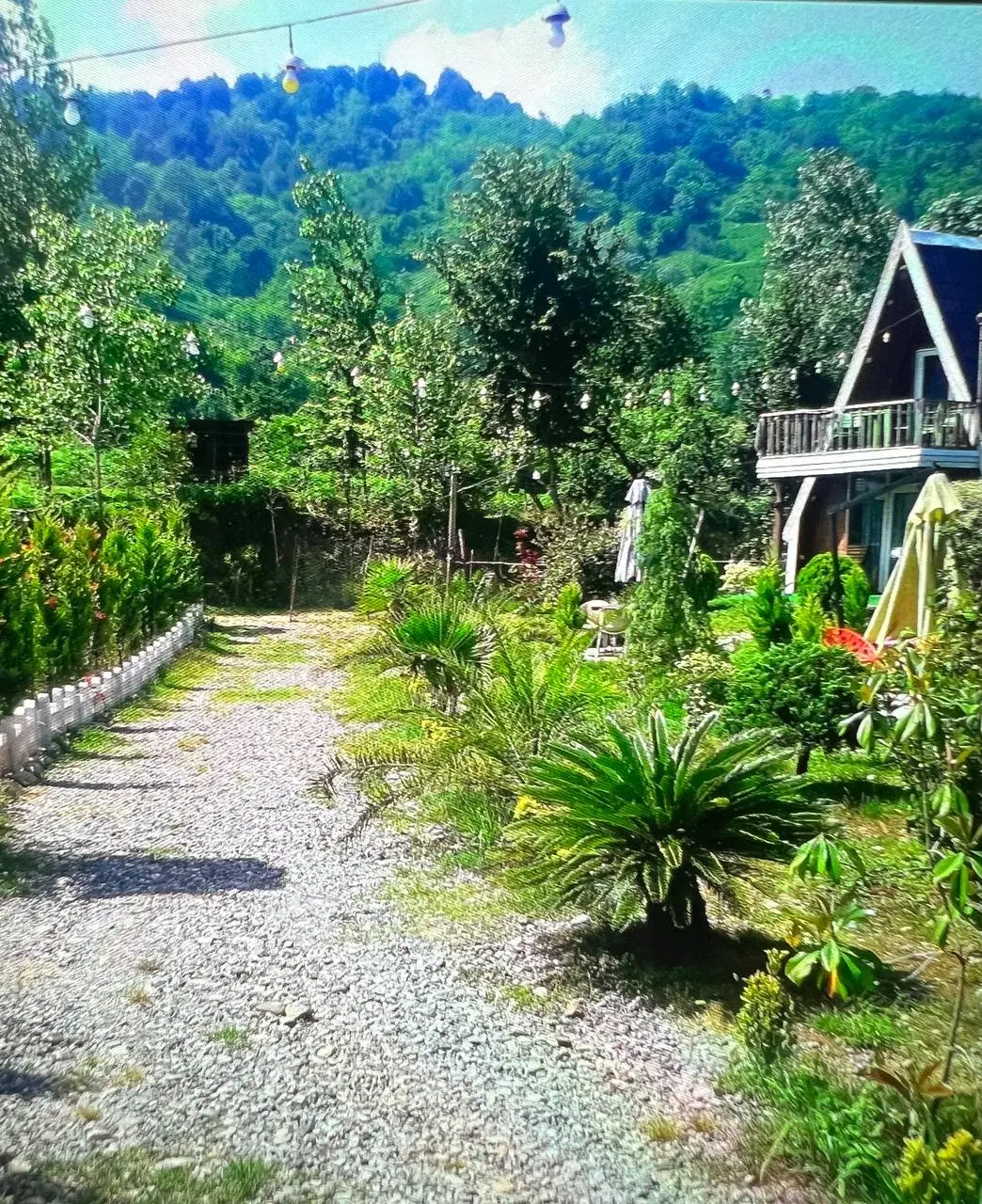 اجاره کلبه سوئسی تک خوابه ویوودار کد 11
