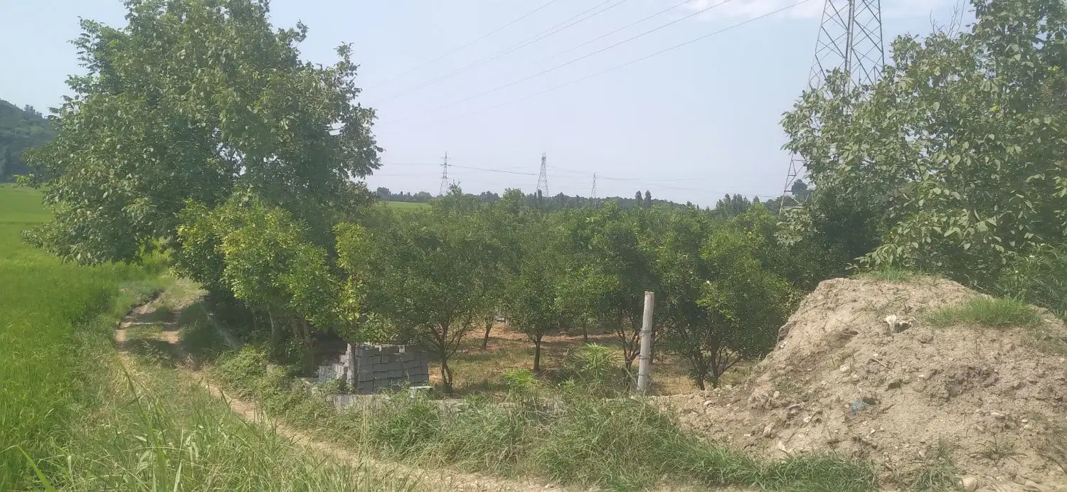 زمین ۱۰۰۰متری درمنطقه بابلکنار