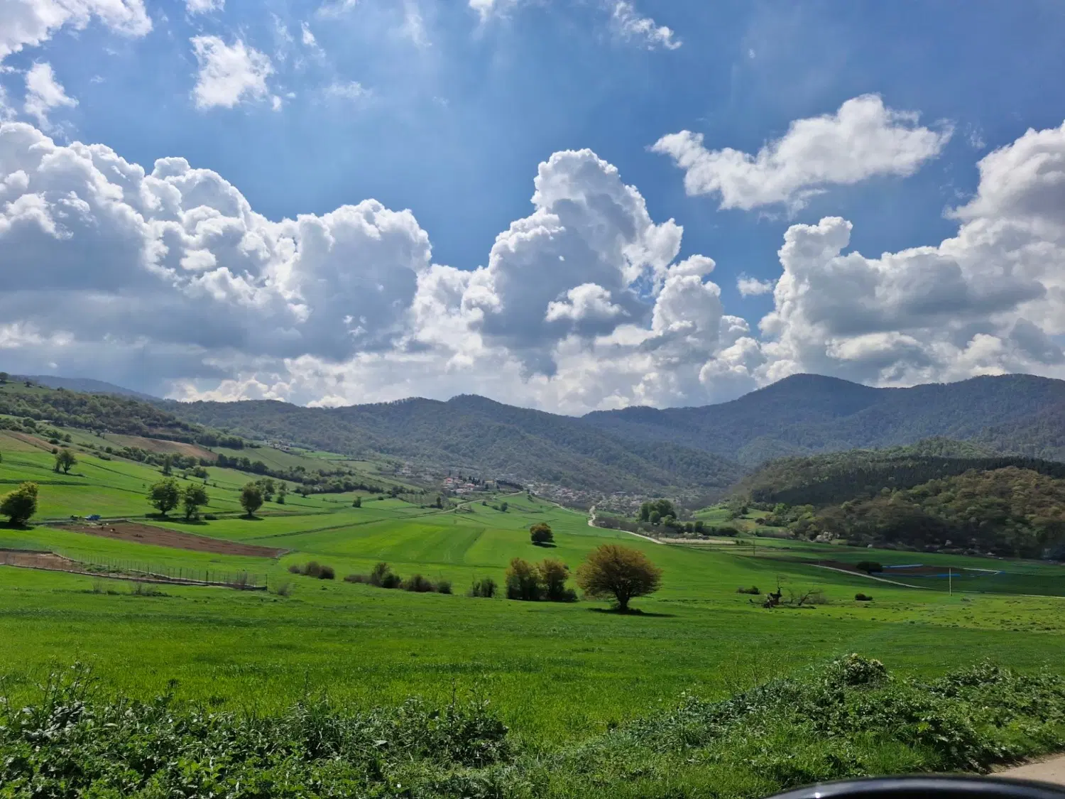 زمین گلدشت قطعه ۳۲۷