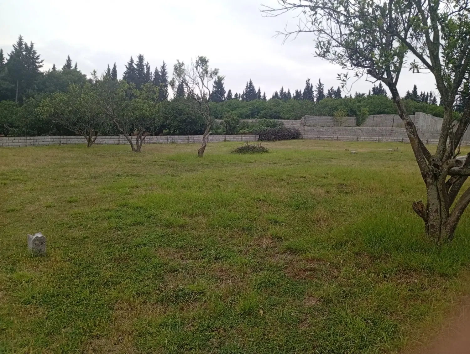 زمین در تنگه لته ساری