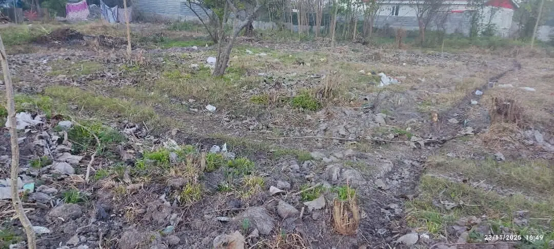 ۲۵۰ متر زمین مسکونی زیبا کنار (امیلدان)