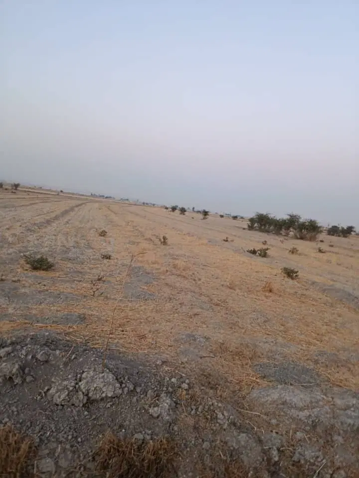 زمین فروشی