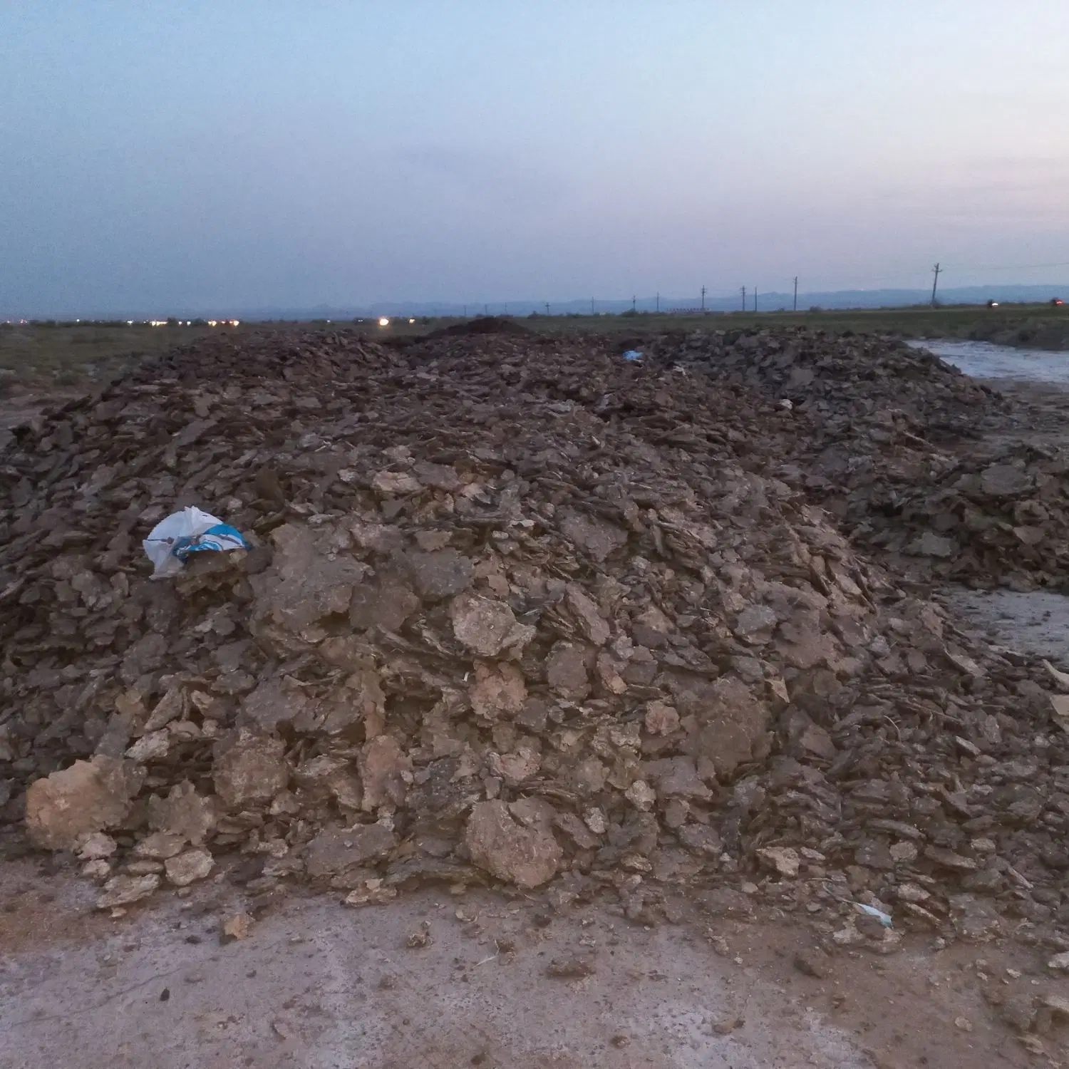 دو باره تریلی